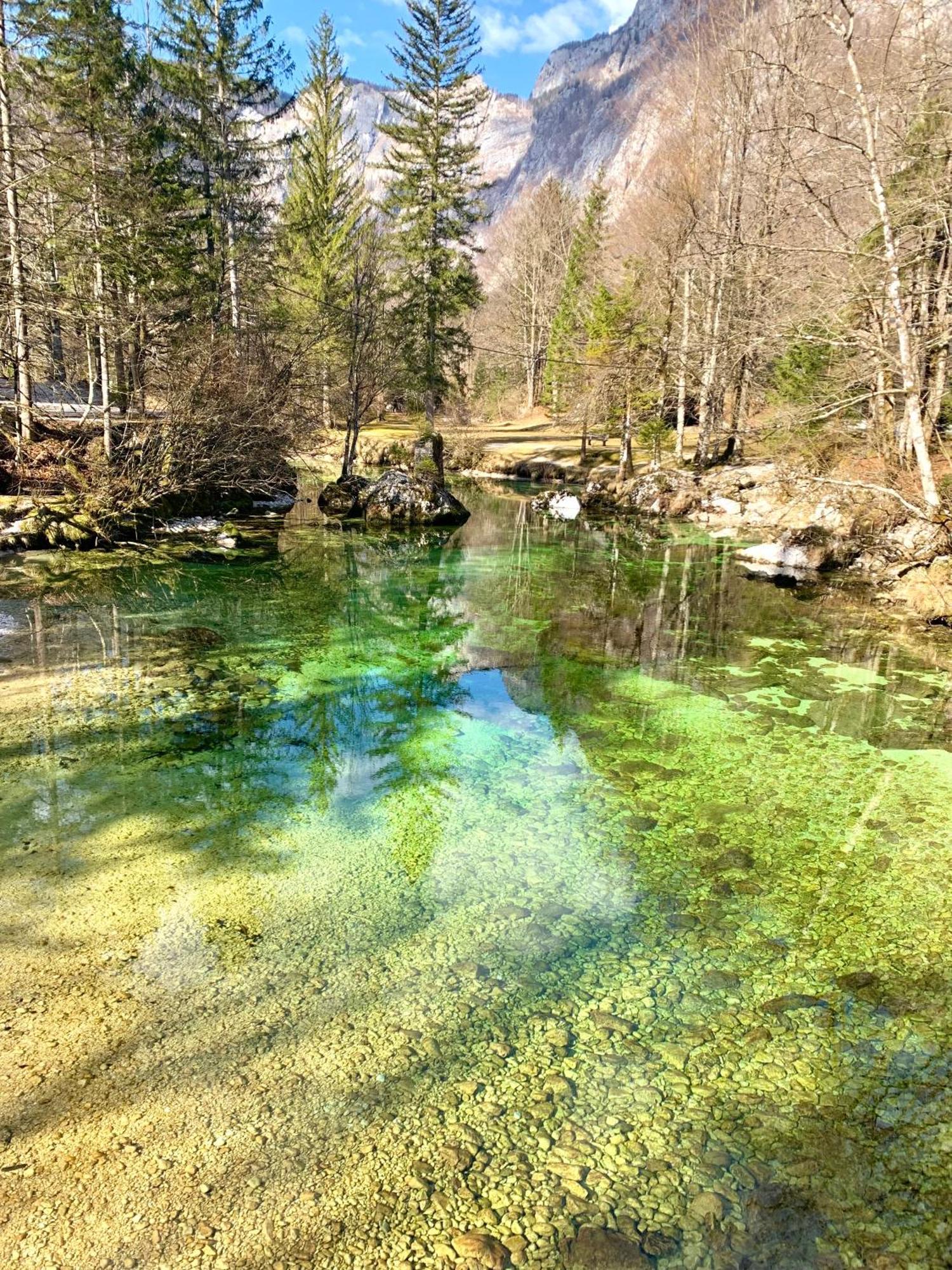 Apartments Bb Bohinj Buitenkant foto
